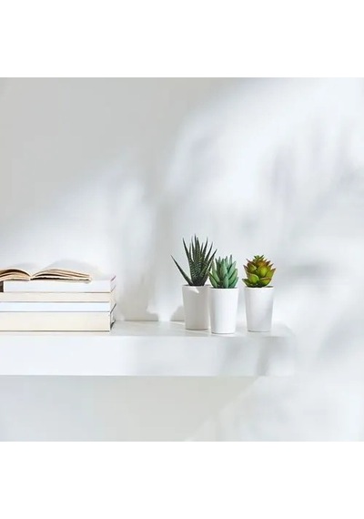 Sumuhome Fejka Saksılı Yapay Bitki Kaktüs 6 Cm 3 Adet