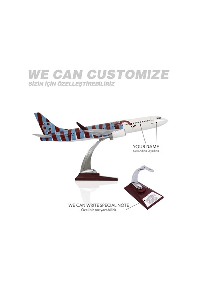 Zekupp Boeing 737-800 Bordo Mavi Taraftar Özel Tasarımlı 1/100