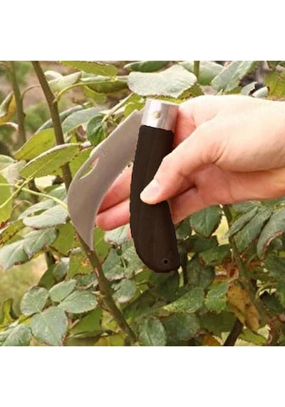 Aşı Bıçağı Eğri Uçlu Ara Çakı Bağ Bıçağı Paslanmaz Çelik Plastik Saplı Katlanır Bıçak 22 Cm