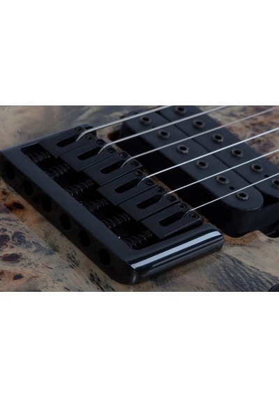 Schecter C-6 Pro Elektro Gitar (Charcoal Burst)