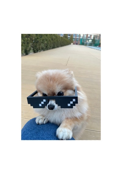Minecraft Pixel 3d Baskı Deal With It Gözlük Siyah Oyuncak Diğer