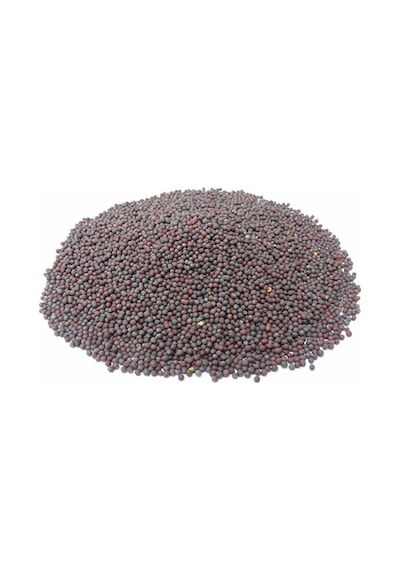 Siyah Hardal Tohumu 1. Kalite 1 KG