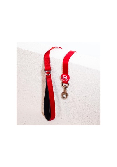 Pawstar Kırmızı Leash Kedi Köpek Sevk & Gezdirme Kayışı Köpek Uzatma Tasması Kırmızı