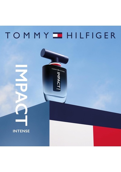 Intense Edp 100 Ml Erkek Parfüm, 5002694195 Diğer
