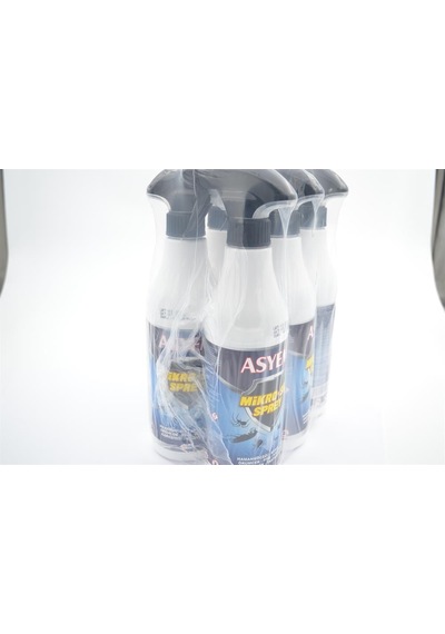 Asyem Mikro-Sav Sprey 6 x 450 ML