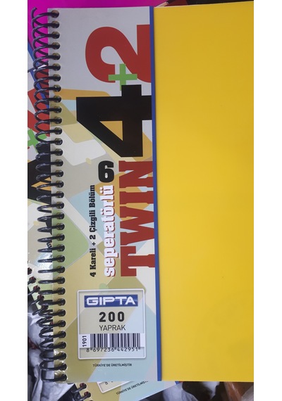 Ayraçlı Defter Spiralli A4 Ebat 200 Yp 6 Ayraç 4 Kareli + 2 Çizgili Plastik Kapak 4 Adet Defter Çok Renkli