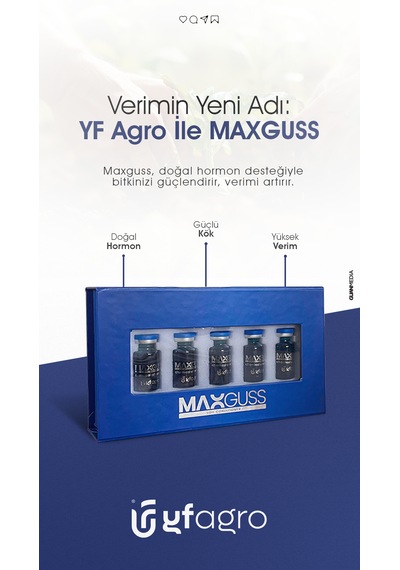 Yf Agro Maxguss 0.5 KG