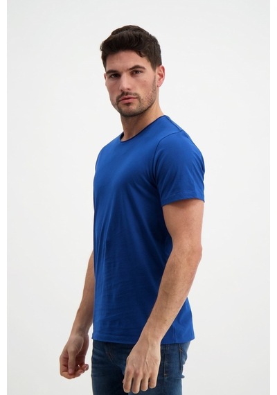 Rich Erkek Yıkamalı Basic T-Shirt (481343701)