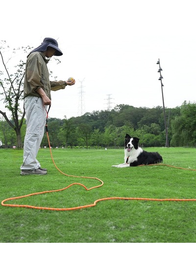 Köpekler İçin 5 M Çekme Halatı, Dolgulu Saplı Köpek Tasması, Küçükten Büyük Köpekler İçin Antrenman İpi, Turuncu