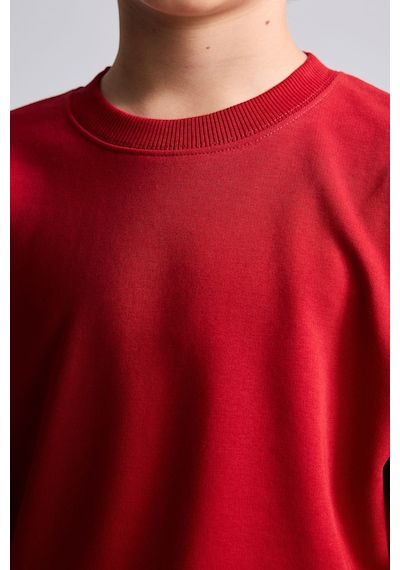 Defacto Bisiklet Yaka İçi Yumuşak Tüylü Basic Sweatshirt Erkek Çocuk I1419a826wnbr244 Kırmızı-br244