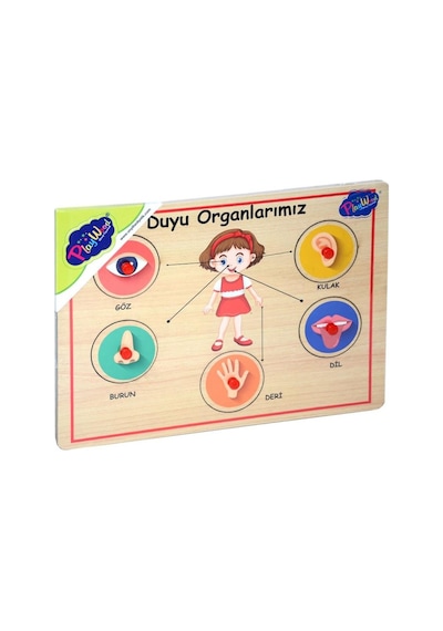 166/167 Onyıl. Ahşap Tutmalı Organlar.