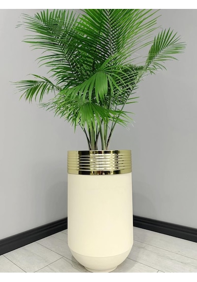 Elegant Dekoratif Gold Darbuka Krem Saksı 70cm
