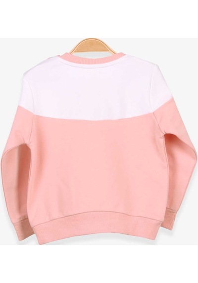 Breeze Kız Çocuk Sweatshirt Tavşan Nakışlı 1-4 Yaş, Somon (541263491)