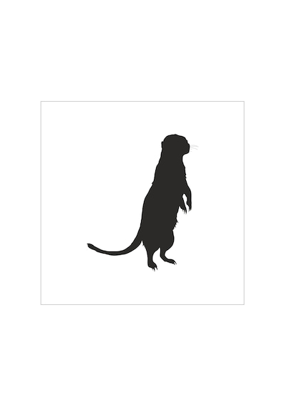 Gelincik Folyo Sticker 100cm Uzunluk Siyah