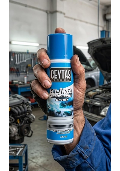 Ceytaş Professional Araç Klima Temizleyici Sprey 200 Ml - Oto Klima Radyatör Ve Dezenfektan Temizleme Seti, Kötü Ko
