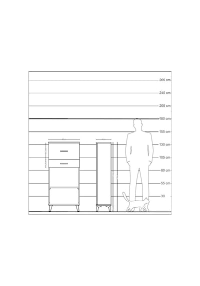 Hyperion Dolap Tek Raflı 2 Çekmeceli 60x44x134 Antrasit-çam Antrasit