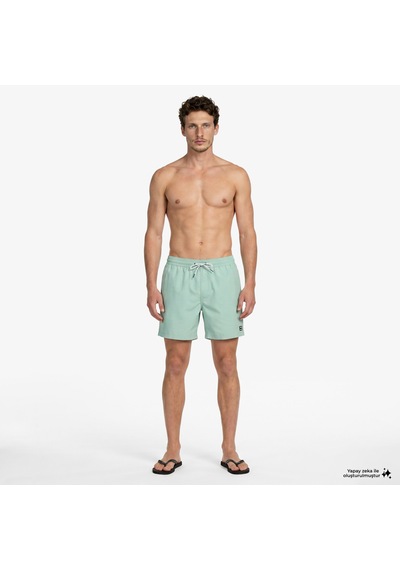 Billabong All Day Lb Erkek Yeşil Deniz Şortu Ebyjv00134