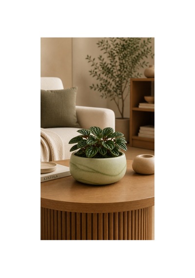 Oliva Bowl - Dekoratif Beton Saksı
