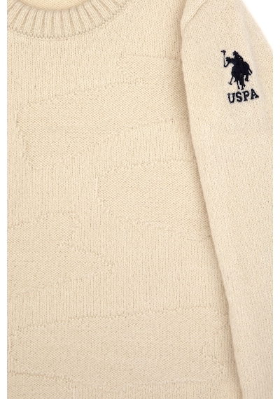 U.S. Polo Assn. Erkek Çocuk Taş Bisiklet Yaka Kazak 50315625-VR049