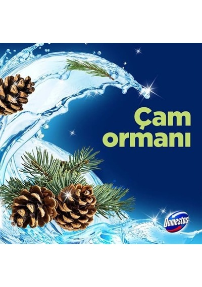 Domestos Tuvalet Bloğu Çam Ormanı 5'li Güç, 250 Gram