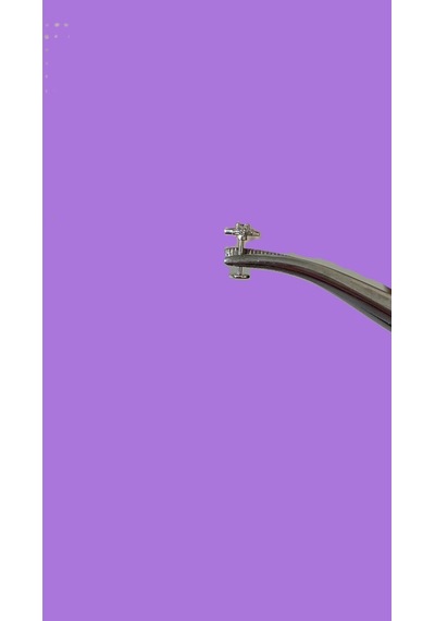 Minimal Kutup Yıldızı Kıkırdak Tragus Helix Pearsıng Küpe 316l Çelik Gümüş