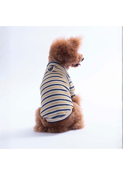 Sarı Marseille Softline Çizgili Kedi Köpek Sweati Köpek Kıyafeti Kedi Kıyafeti