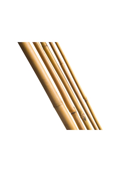 Bambu Sopası 210 cm 19-20mm Bambu Çubuğu 5 ADET