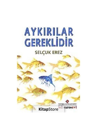 Aykırılıklar Gereklidir - Selçuk Erez - İstanbul Kültür Üniversitesi