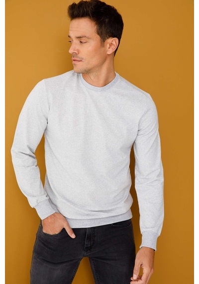 Igs İgs Erkek A.gri Modernfıt / Ekstra Dar Kalıp Bisiklet Yaka Sweatshirt Açık Gri