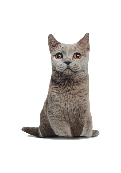 3d Dijital Baskılı Dekoratif Kedi Yastık Duman Renkli