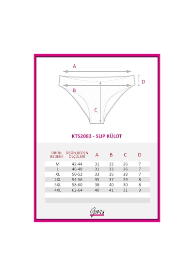 Sensu Kadın Pamuklu Karışık Renkli 6'lı Slip Külot Model-2