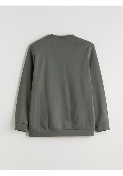 Lcwaıkıkı Classic Yeşil Büyük Beden Bisiklet Yaka Erkek Sweatshirt