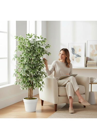 150 Cm Yapay Ficus Beyaz Plastik Saksı Dekoratif Ağaç