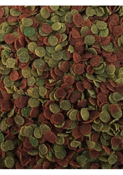 Protein-50 Red Algae 250ml + Protein-48 Garlic 250ml Balık Yemi