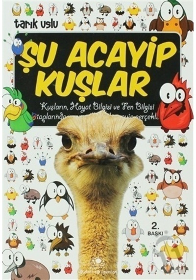 Uğurböceği Yayınları Şu Acayip  Kuşlar