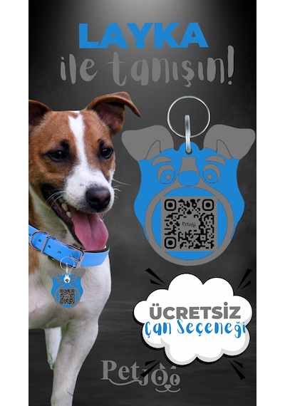 Petjoo 22.Layka Gri-Mavi Qr'lı Köpek Künyesi