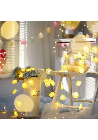 Mey İthalat 2m 10 Led Pilli Limon Işık