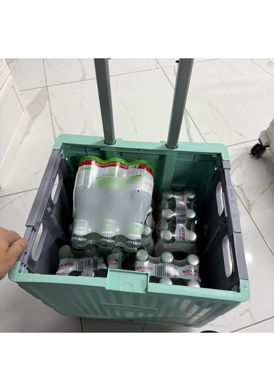 4 Tekerlekli, Yeşil, 32l Standart Boy, Sabit Tutacaklı Alışveriş Arabası