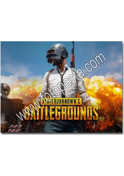 Pubg Yenilebilir Resim Baskısı N11.3663