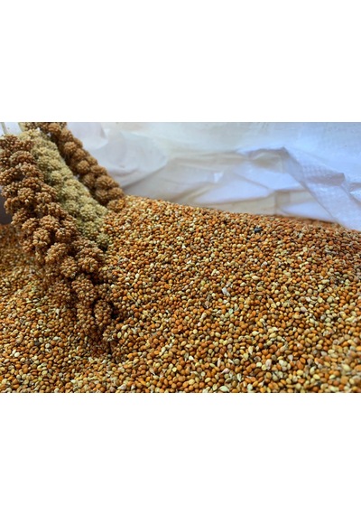 Dal Darıdan Elenmiş Kızıl Darı 500 G