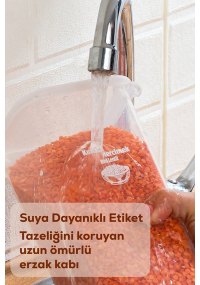 Porsima 1175 12'li Etiketli Renkli Kapaklı Gıda Saklama Kabı Seti