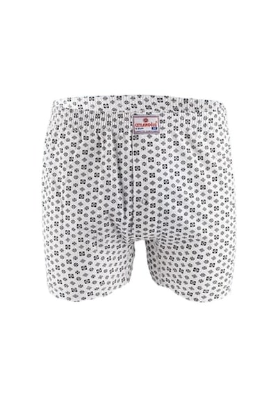 Ceylanoğlu C031 Erkek Empirme Boxer 031 4 Paket - Desenli - Xl DESENLİ