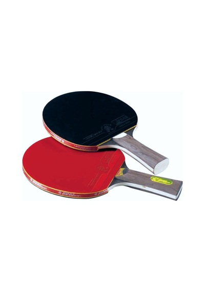 Giant Dragon P40+masa Tenisi Raketi Ittf Onaylı