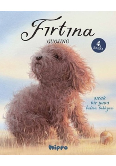 Fırtına - Sptl-833496