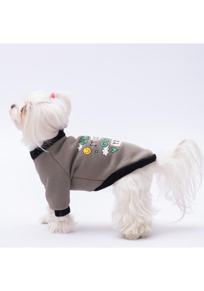 Füme Loviisa Sweat Kedi Köpek Sweat- Kedi Köpek Kıyafeti
