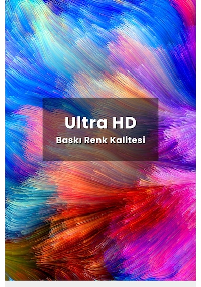 İki Renkli Kedi Poster, Statik Kağıt Premium Baskı Poster, Siyah Beyaz Kedi, Yapay Zeka Tasarım