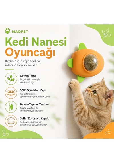 Sogud Kedi Nanesi Oyuncağı - Kedi Otu İçeren 360 Dönen Catnip Topu - Duvara Yapışan Yalama Ve Isırma Oyuncağı - Şeffaf Kapaklı Avokado Tasarım - Ev Kedileri İçin Aktivite Ürünü 1 Adet