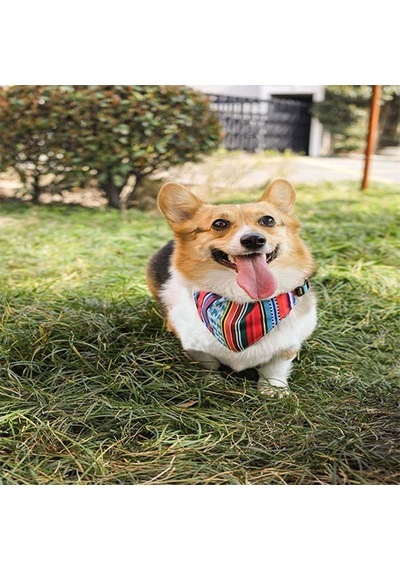 M-pets Urban Style Jazz Bandana Boyun Tasması Small 15-33 Cm 244-58035.02