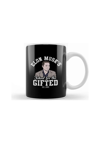 Elon Musk's School For The Gifted Kupa Bardak Porselen Karışık