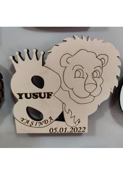 Magnet Aslan Modeli